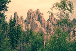 风景