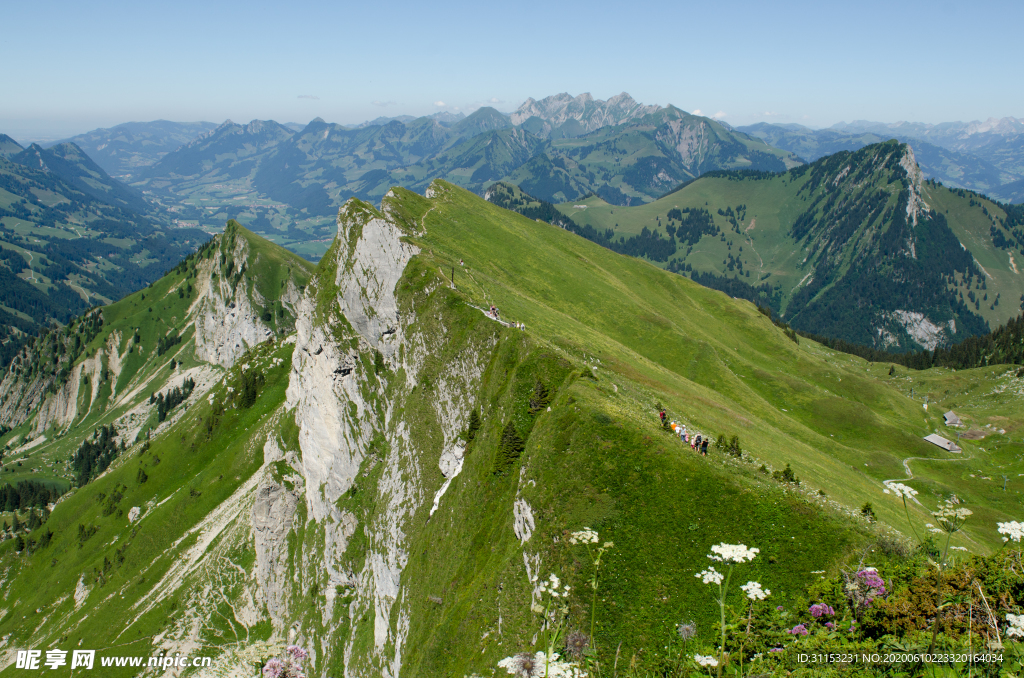 风景