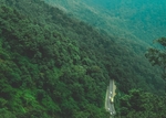 绿色的山坡
