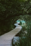 小路