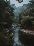 绿野浅溪