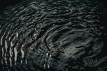 水波
