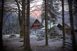 林间小屋