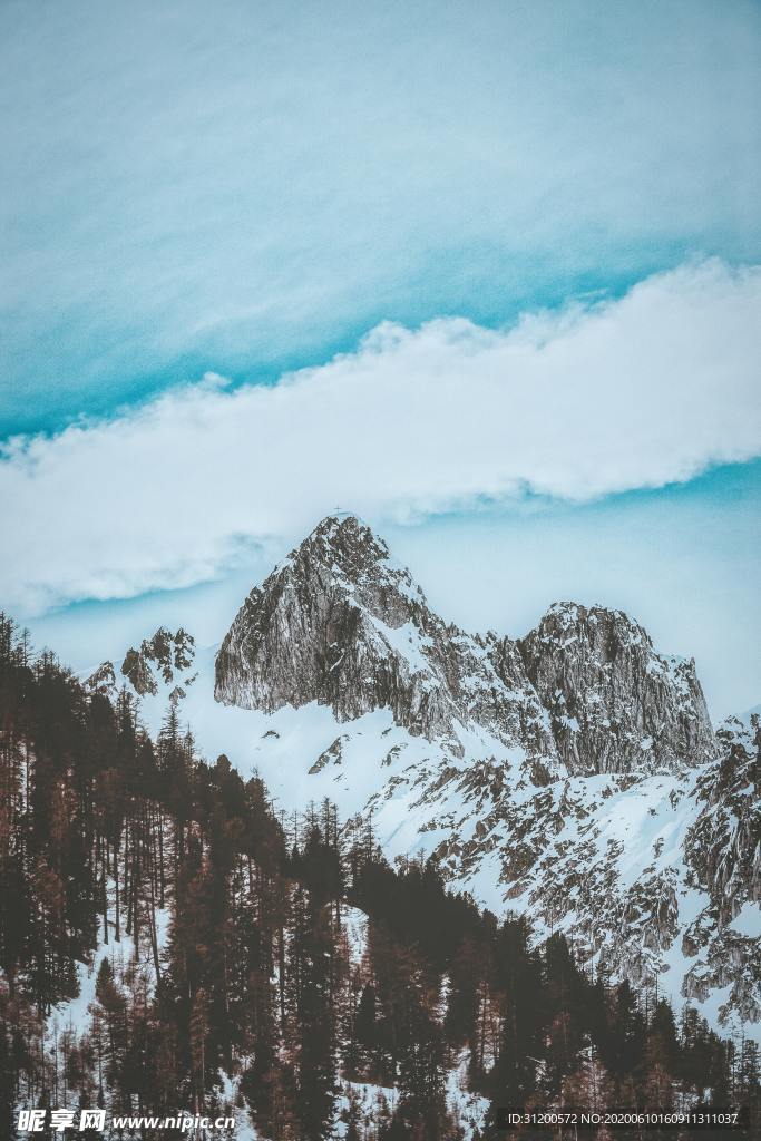 远山临海