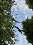 蓝色天空