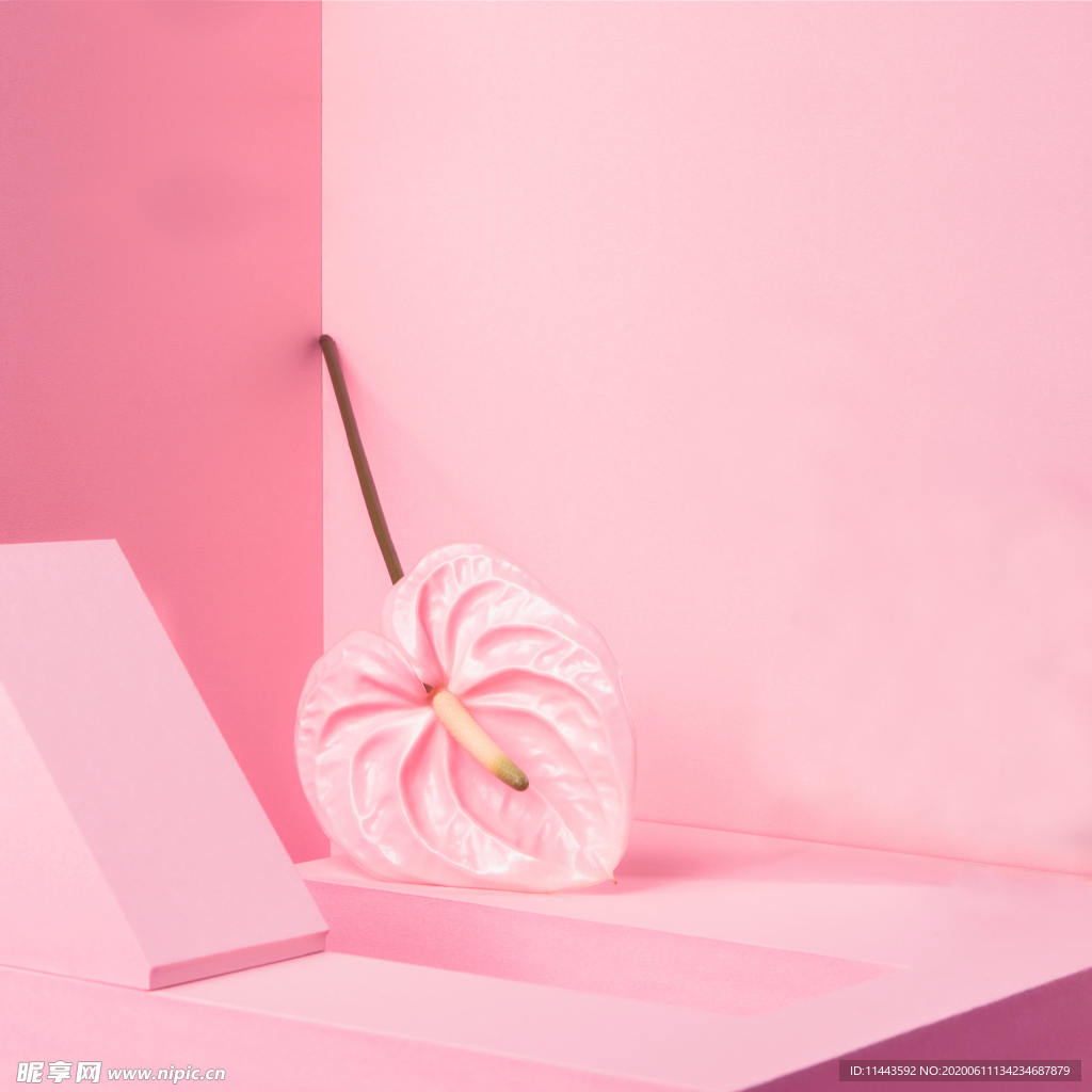 化妆品背景