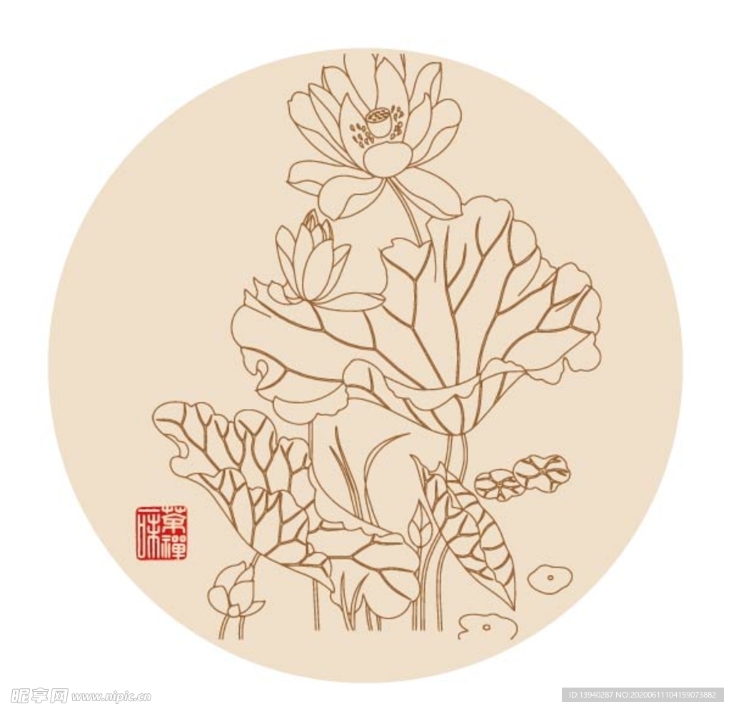 荷花 莲