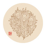 孔雀羽毛