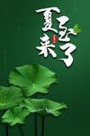 夏至海报
