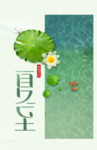 夏至海报