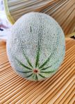 晓蜜
