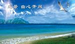 大海