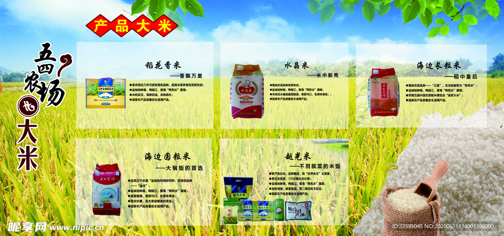 大米海报