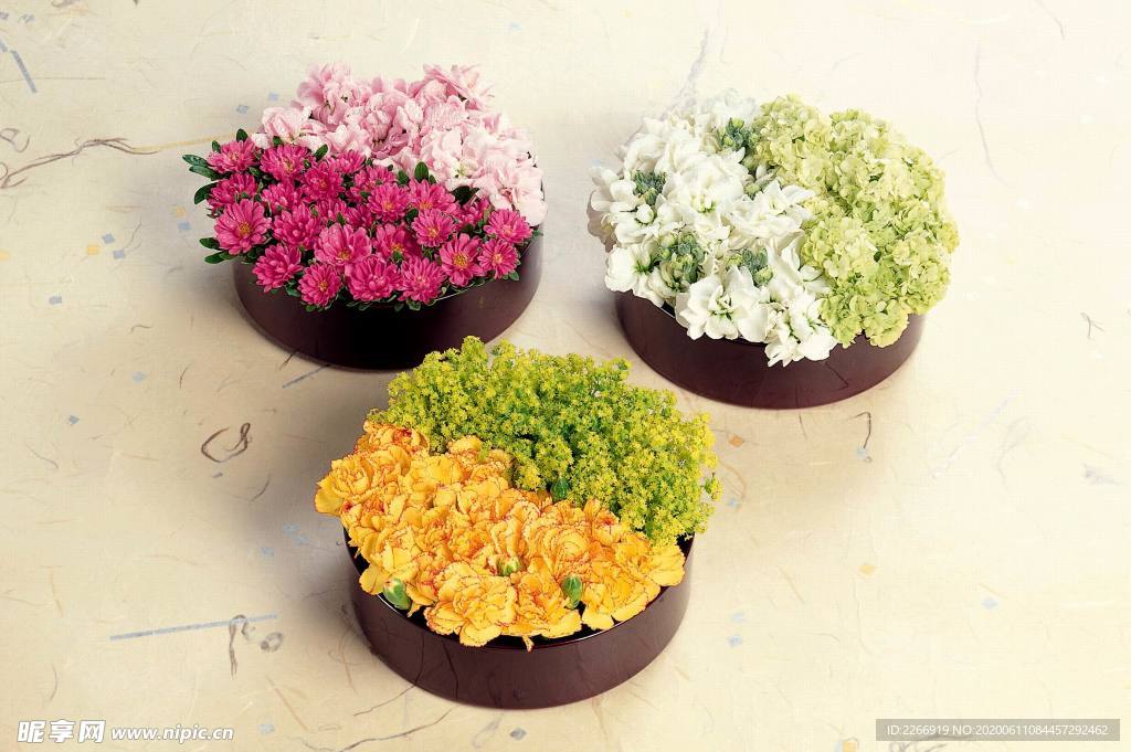 花卉艺术