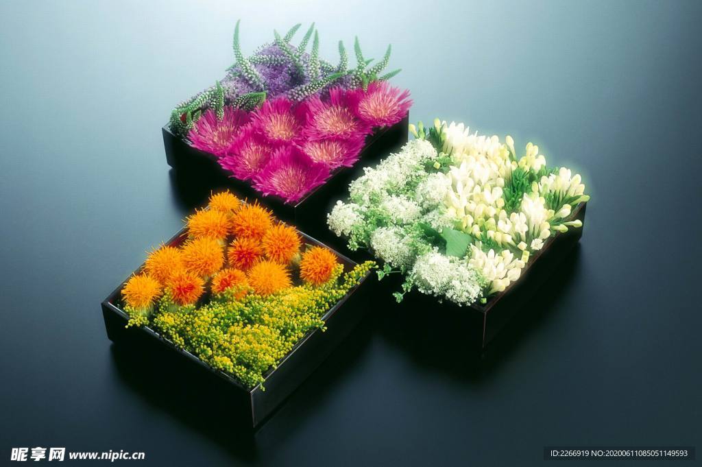 花卉艺术