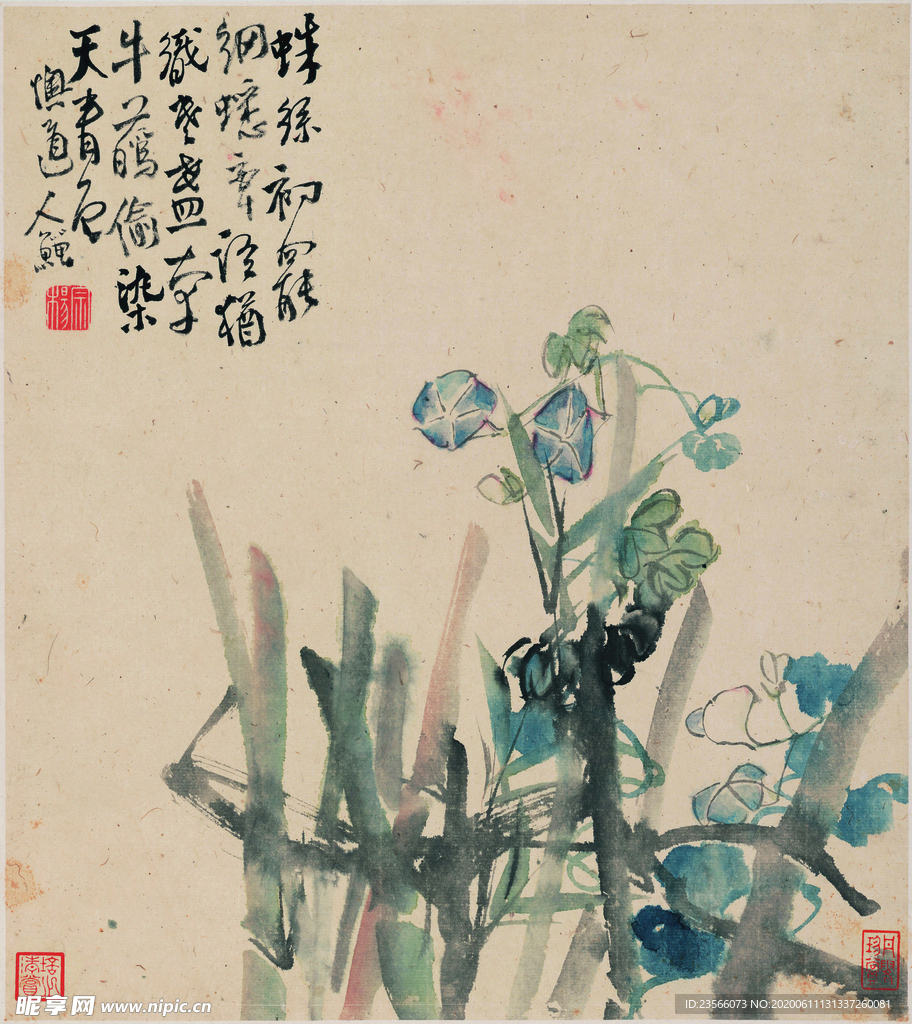 花鸟国画图案
