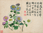 花鸟工笔画图案
