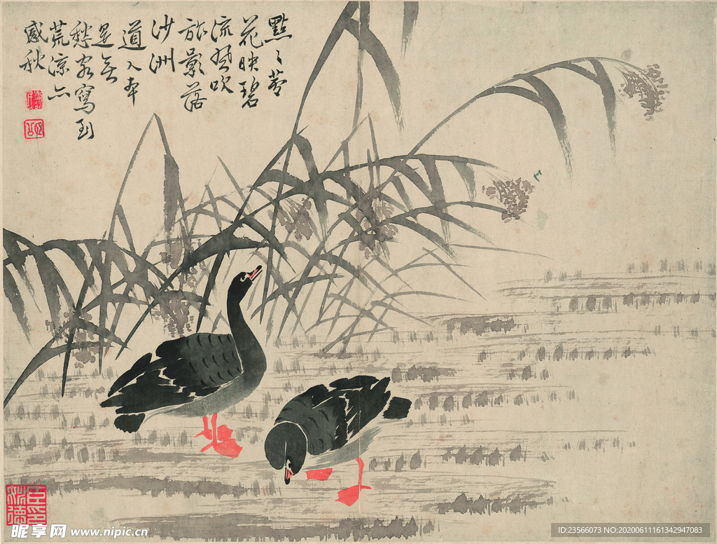 芦雁图