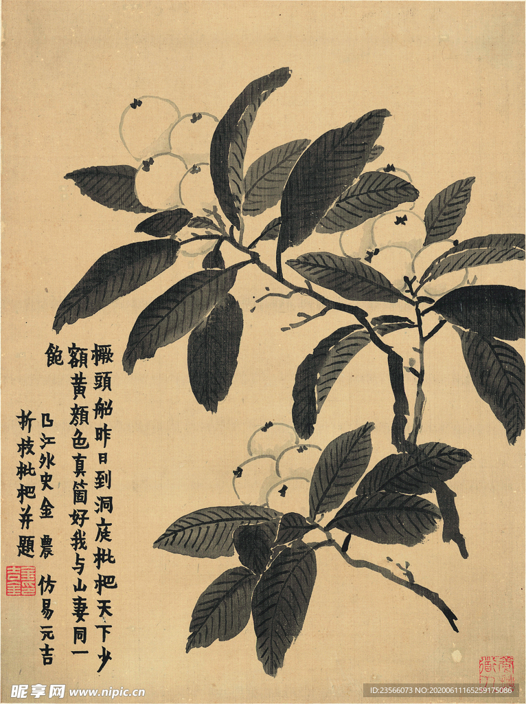 植物花草国画图案