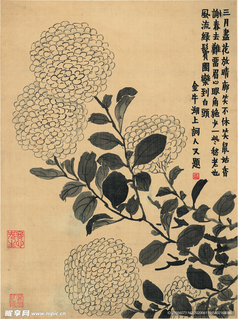 植物花草国画图案