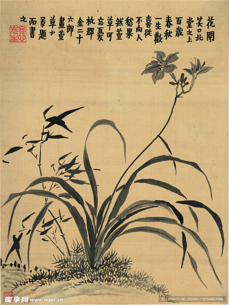 植物花草国画图案