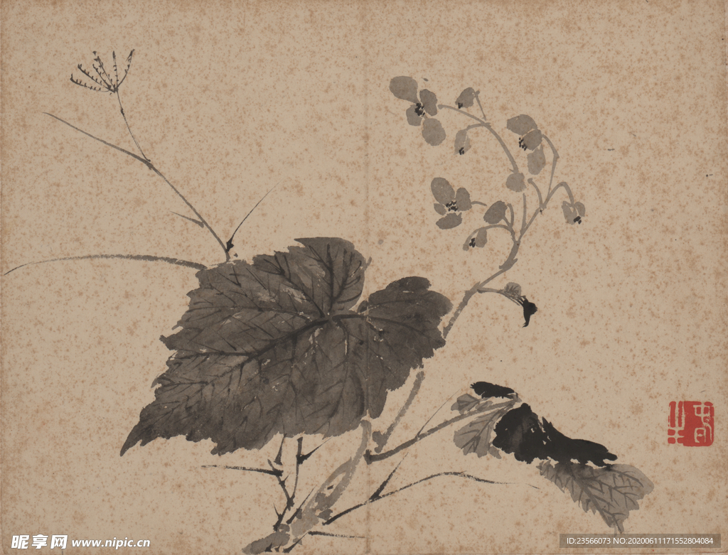 国画花鸟