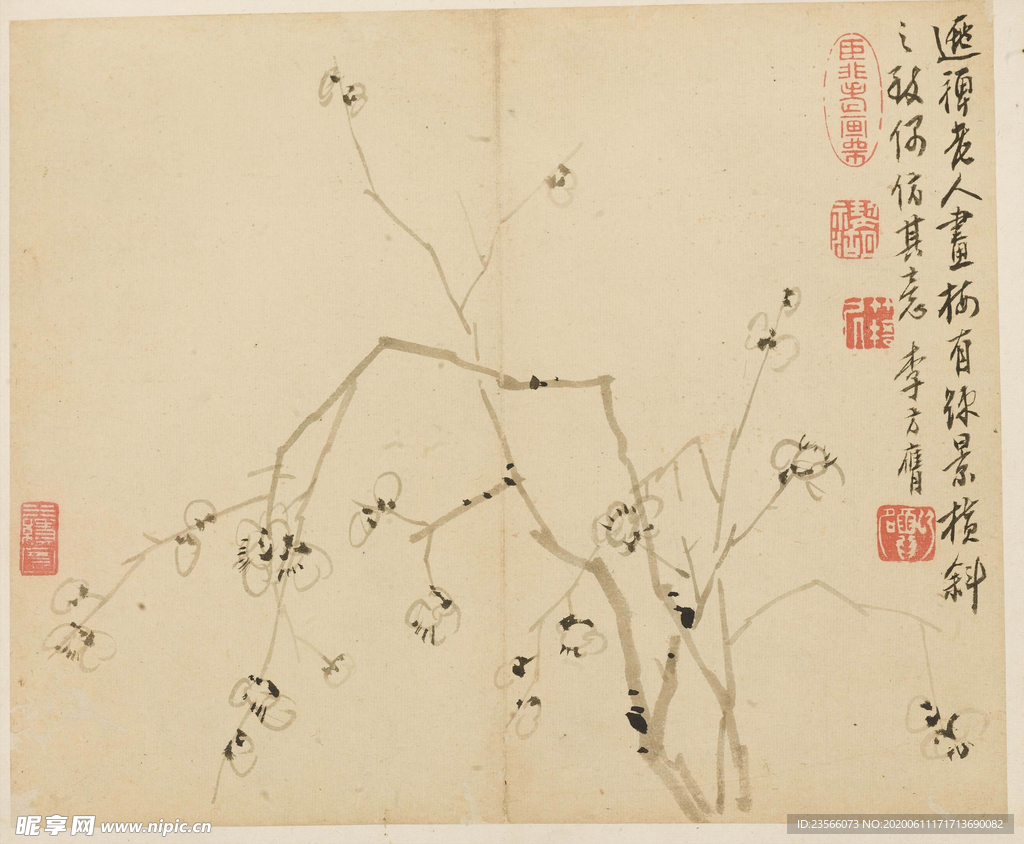梅花国画