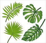 4款逼真绿色热带植物叶子矢量图