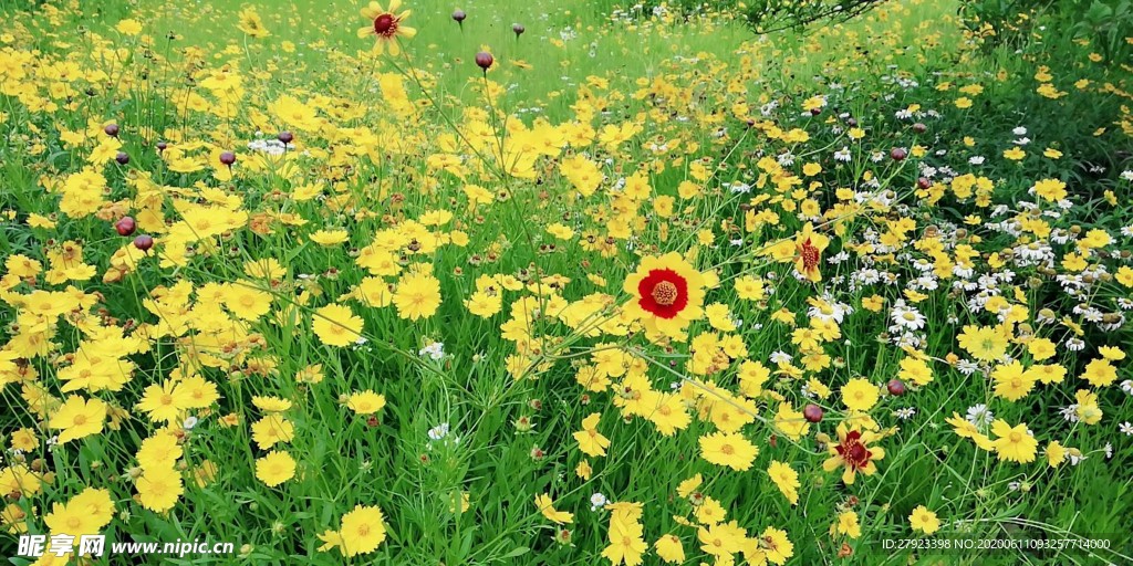 花