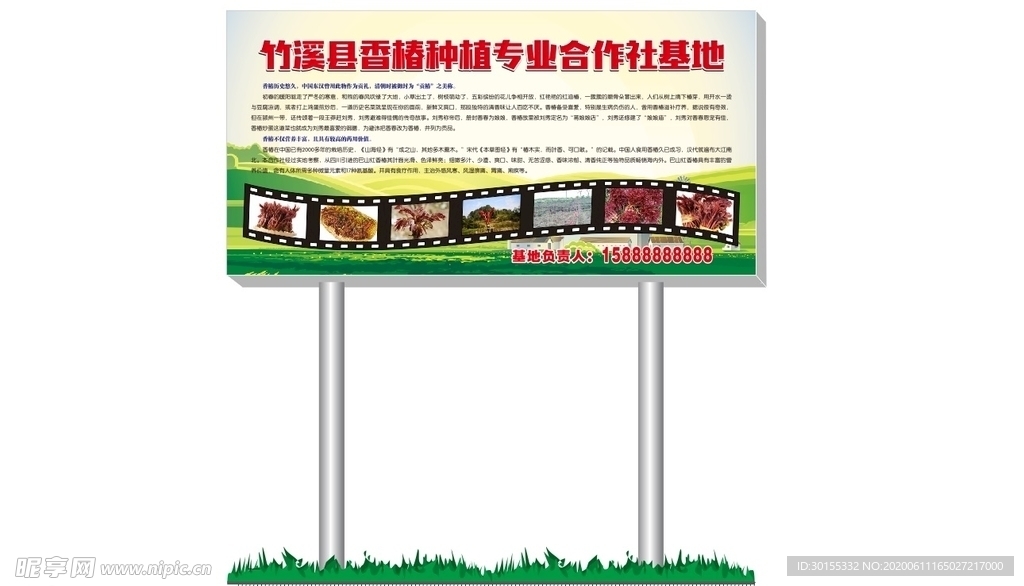 香椿基地