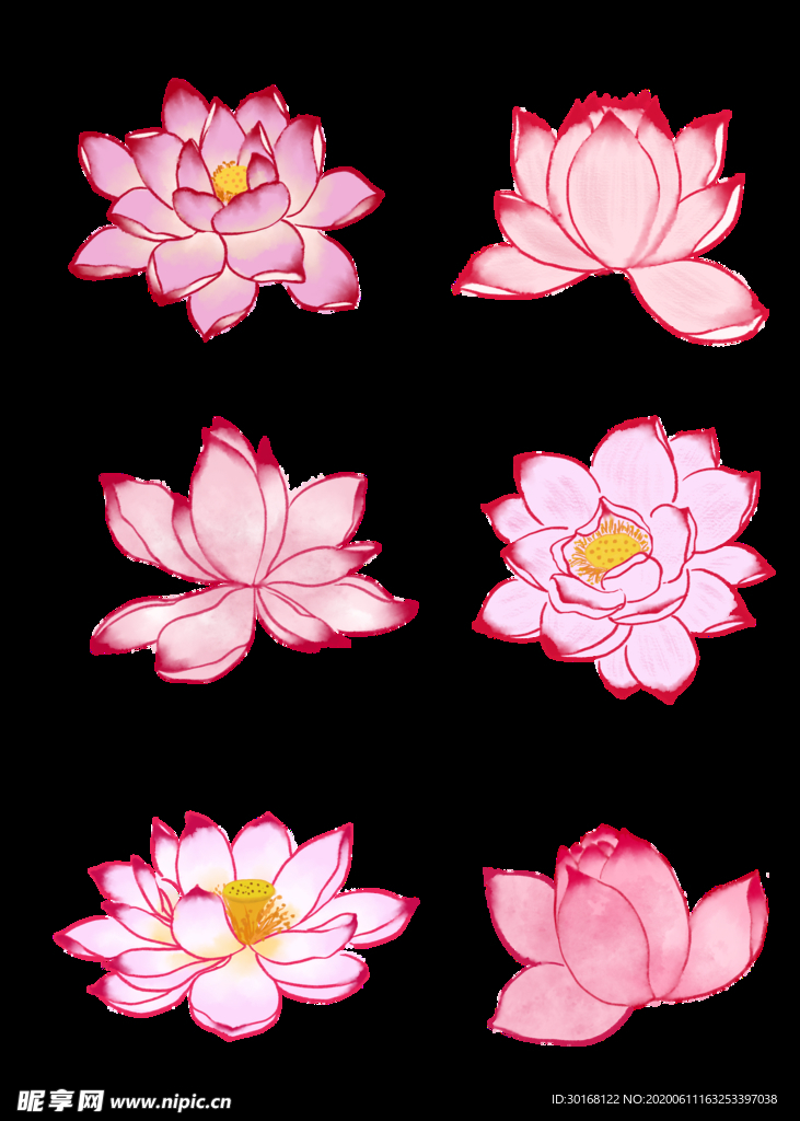 水彩荷花