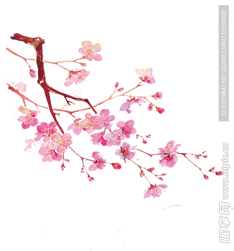 桃花