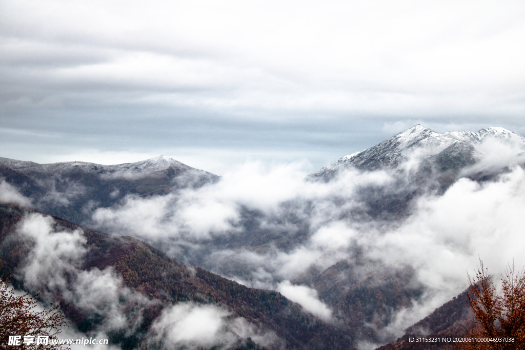 风景