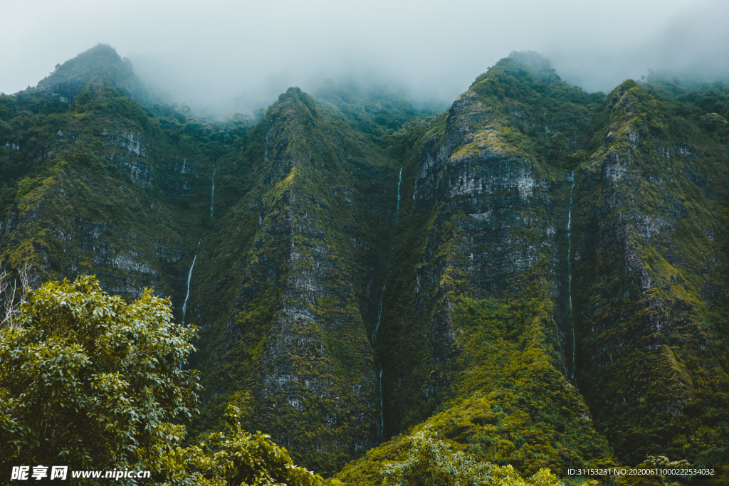 风景