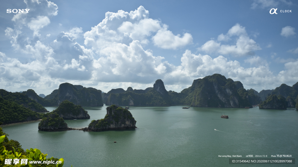 旅游 国外        树林