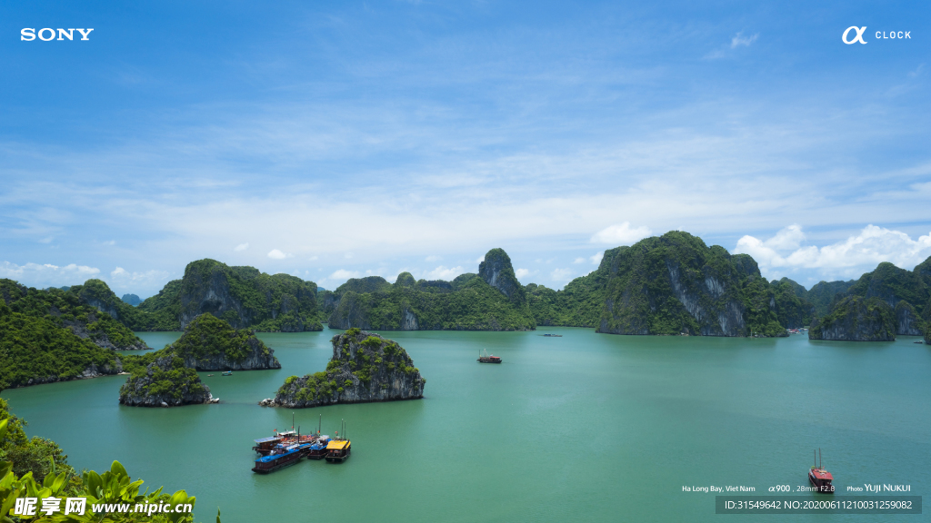 旅游 国外        树林