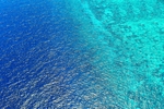 大海