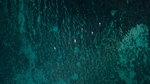 大海