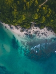 大海