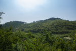农村大山风景照片