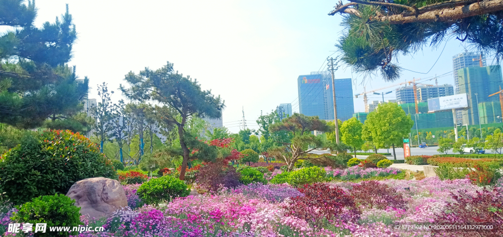 城市景观