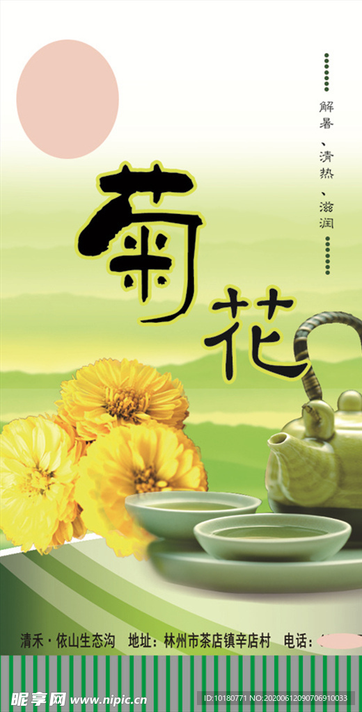 菊花茶包装