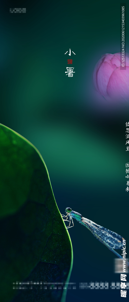 小暑