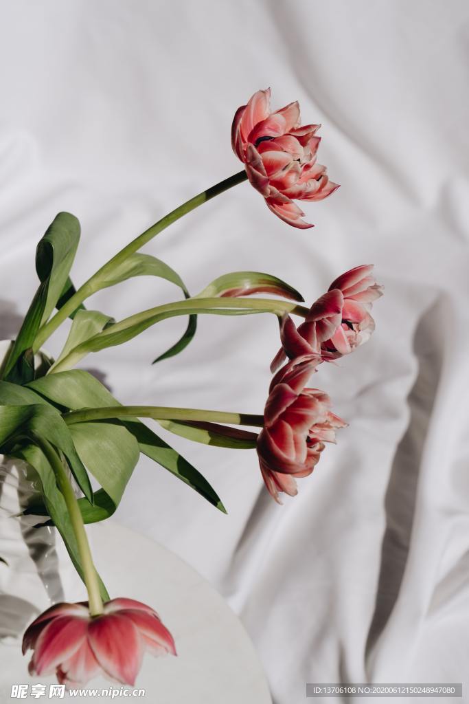 鲜花艺术