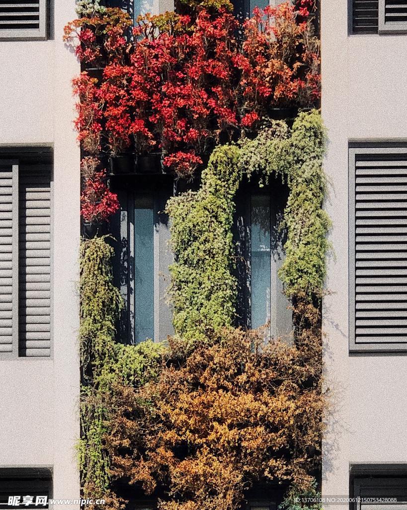 植物艺术
