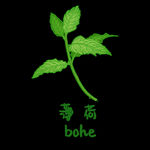 薄荷