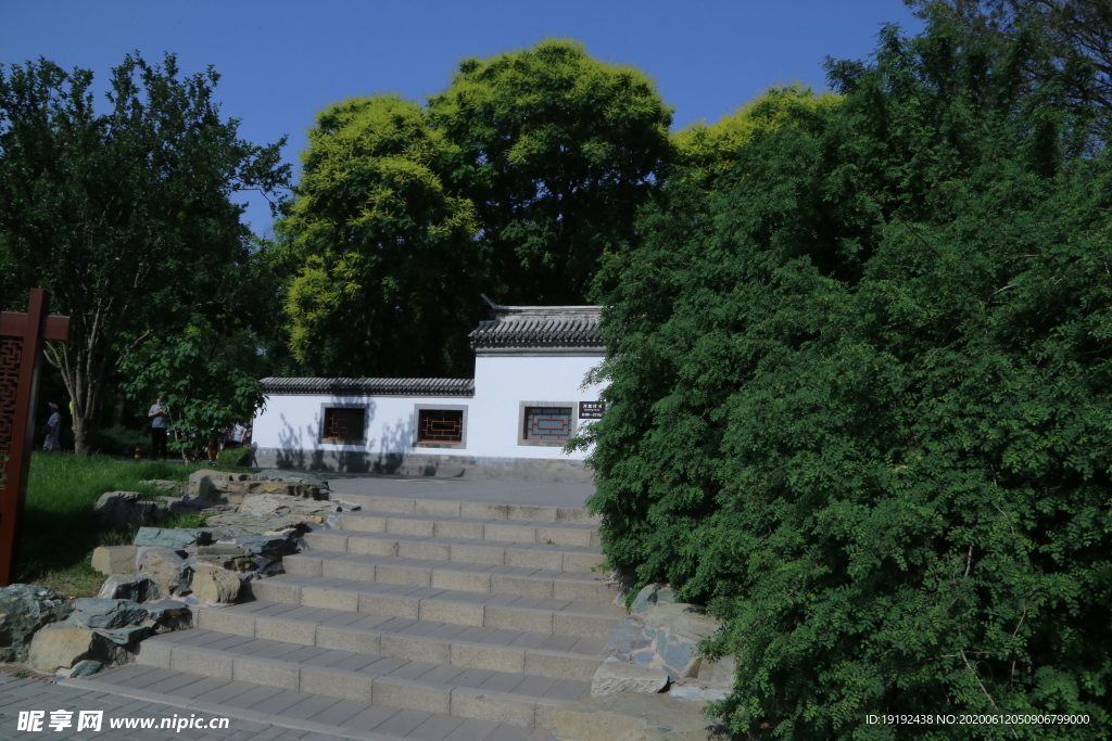 公园风景