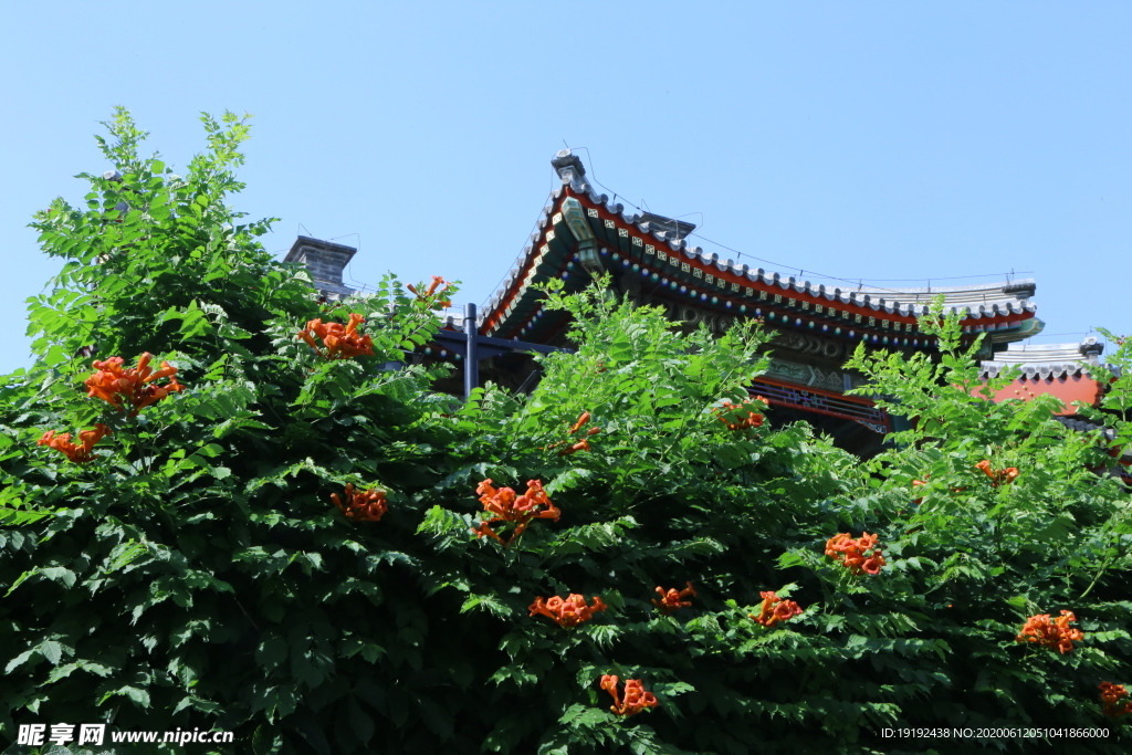 园林风景