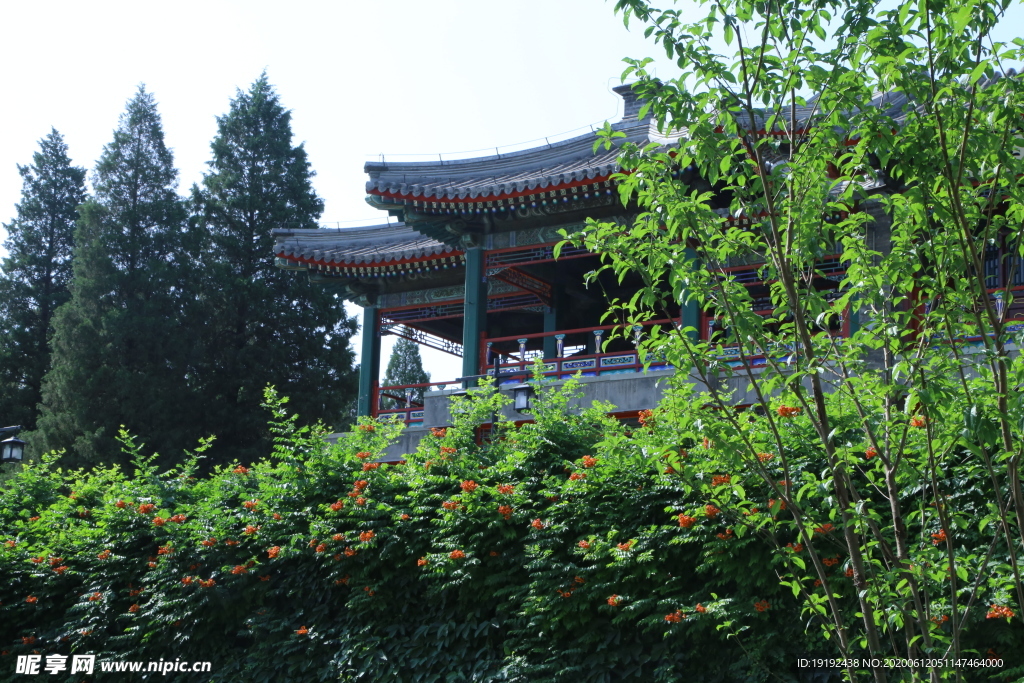 园林风景