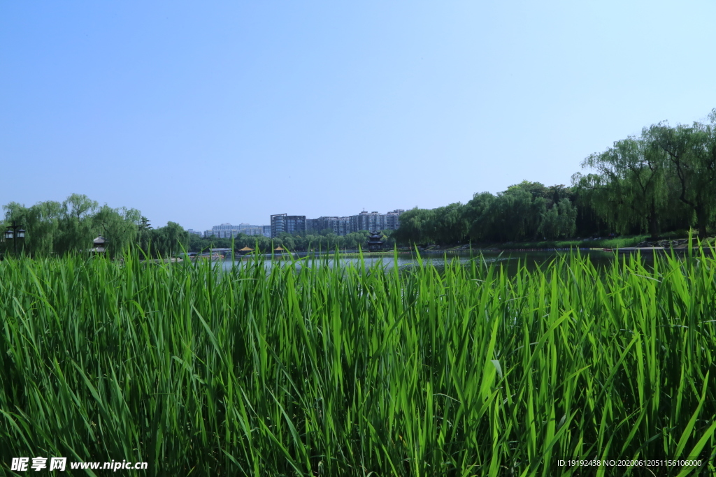 园林风景
